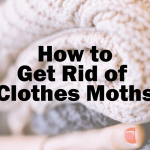 How-to-Get-Rid-of-Clothes-Moths